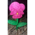 Image 7 of customer photos