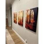 Image 6 of customer photos