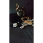 Image 4 of customer photos