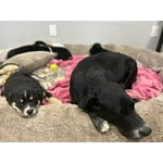 Image 3 of customer photos