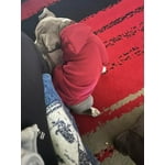 Image 4 of customer photos