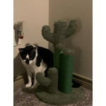 Image 5 of customer photos