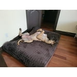 Image 1 of customer photos