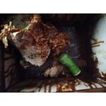 Image 7 of customer photos