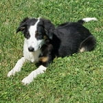 Image 5 of customer photos