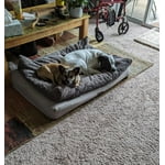 Image 4 of customer photos