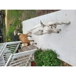 Image 2 of customer photos