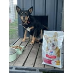 Image 2 of customer photos