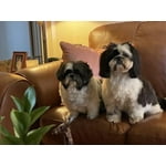 Image 1 of customer photos