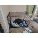 Image 4 of customer photos