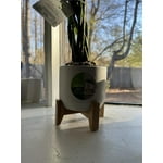 Image 7 of customer photos