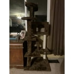 Image 7 of customer photos