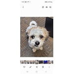 Image 4 of customer photos