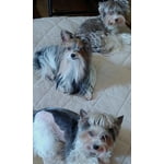 Image 2 of customer photos