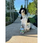 Image 3 of customer photos