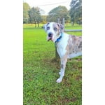 Image 5 of customer photos