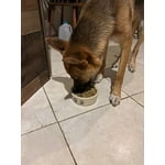 Image 5 of customer photos