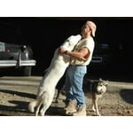 Image 1 of customer photos