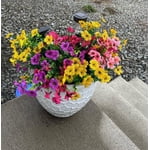 Image 7 of customer photos