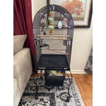 Image 7 of customer photos