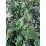 Image 5 of customer photos