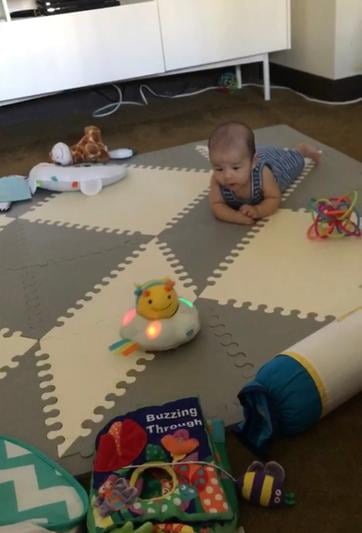 skip hop follow bee reviews