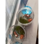 Image 4 of customer photos