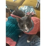 Image 3 of customer photos