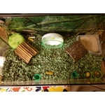 Image 6 of customer photos