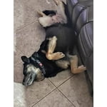 Image 1 of customer photos