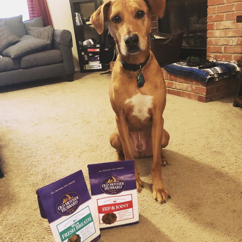 old mother hubbard minty fresh breath