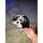 Image 2 of customer photos