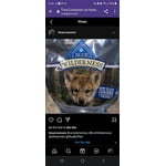 Image 5 of customer photos