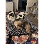 Image 6 of customer photos