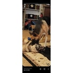 Image 5 of customer photos