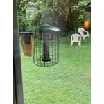 Image 2 of customer photos