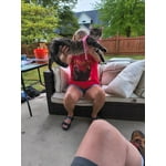 Image 1 of customer photos