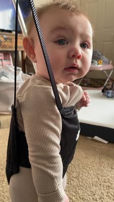 jolly jumper classic classique トランポリン The Jolly Jumper *CLASSIC* with Stand