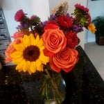 Image 1 of customer photos