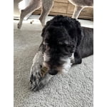 Image 5 of customer photos