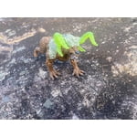 Image 5 of customer photos