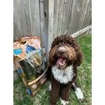 Image 4 of customer photos