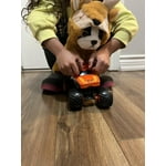 Image 5 of customer photos