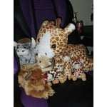 Image 2 of customer photos