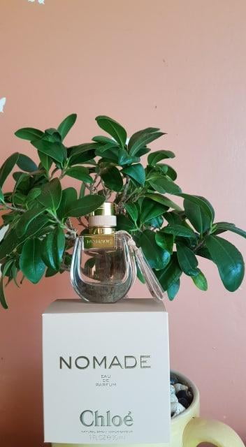 Chlo√©, Eau De Parfum Spray, 30ml/1oz, Nomade, Chypre Floral