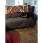 Image 1 of customer photos
