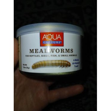 Jungle Bob’s Live Reptile Feeders: 50 Waxworms + 100 Mealworms – Great Combo Deal