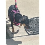 Image 2 of customer photos