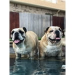 Image 1 of customer photos
