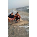 Image 7 of customer photos